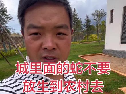 城里面抓到的蛇不要放到我们农村去,我们农村人也怕呢! 关键血清又在你们城里面!#云南农村小伙 #眼睛蛇