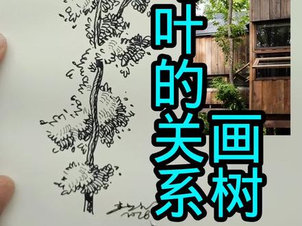 枝与叶的关系画树
#园林树画法 #树木画法 #树木绘画技法 #学画树 #画画