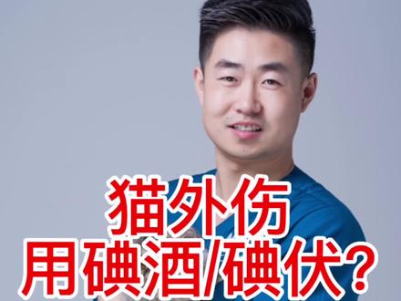 猫外伤用碘伏还是碘酒?#科学养宠攻略 #宠物知识 #猫外伤