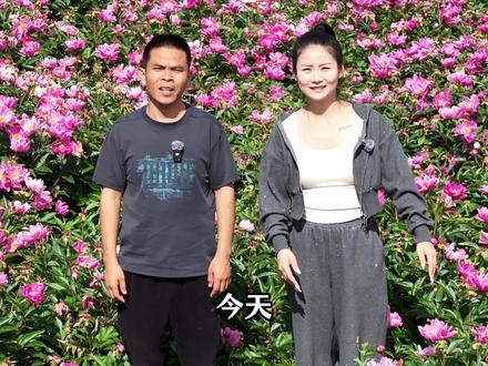 唯有牡丹真国色!来海门实现芍药自由! #海门 #启海 #芍药花 #一片花海为你盛开 #原来药材是这样种的