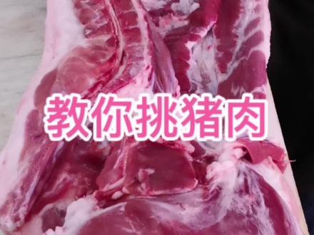 教你如何挑选猪肉