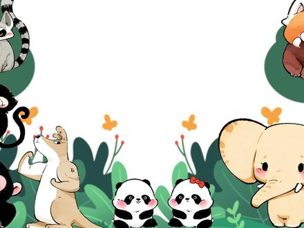 斑马到底是白底黑纹,还是黑底白纹? #斑马