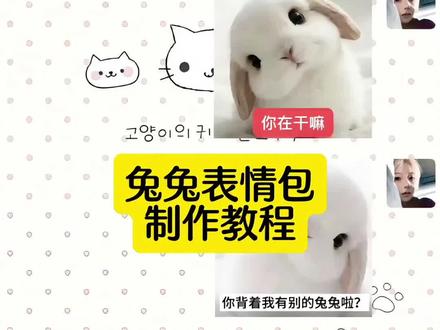 兔兔表情包,兔兔表情包微信怎么搜 #兔兔表情包 #himari兔子表情包 #himari #himari兔子头像 #剪映 himari兔子表情包微信版保存教程, himari兔子表情包,你背着我有别的兔兔啦?我只有你一个兔兔呀,兔兔歪头表情包,