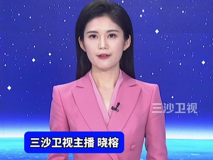 人贩子“梅姨”落网!为您梳理“梅姨案”时间线