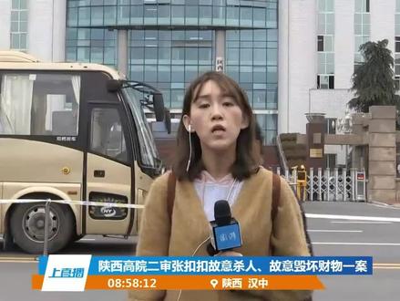 邓学平律师就张扣扣案对话澎湃新闻