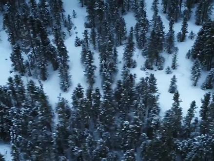 #n刷不腻的电影盘点 #创作者中心 #创作灵感 @DOU+小助手