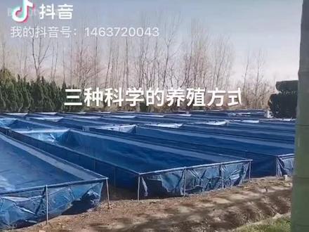 #水蛭蚂蟥养殖 养殖技术分享 @DOU+小助手