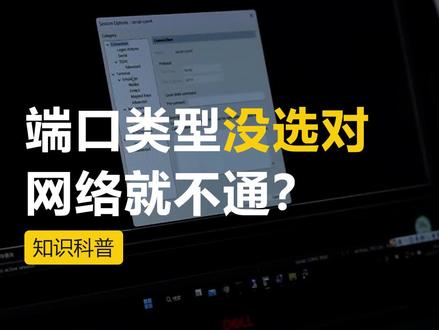 划分VLAN时,端口类型没选对,网络就不通?#交换机 #VLAN #知识分享