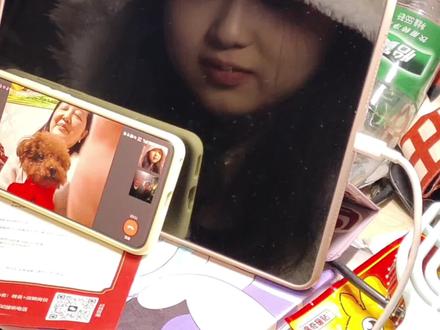 小狗你是不是想我啦#狗狗狼嚎 #泰迪宝宝