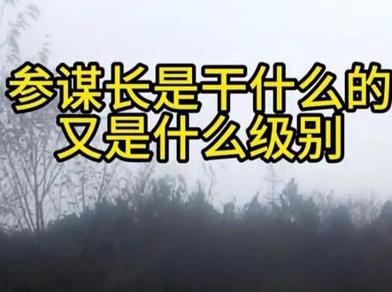 参谋长是干什么的,又是什么级别 #军迷发烧友