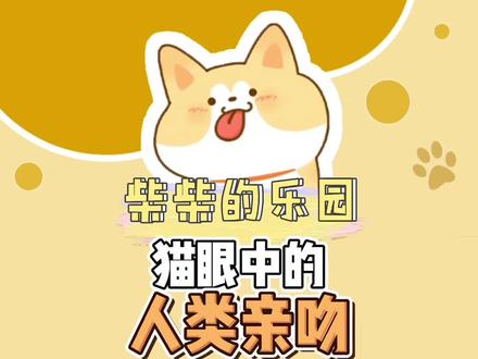 猫咪:塔塔开#猫 #宠物知识 #萌宠 #铲屎官的乐趣 #猫咪的迷惑行为
