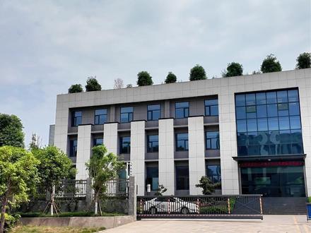 外商点赞简阳制造!瑞特机械远销海外,国际品质获高度认可。#成都简阳#外商点赞#简阳制造