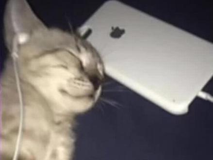 30分钟散步歌单
#rnb #强烈推荐 #有你的快乐 #花田错 #散步歌单