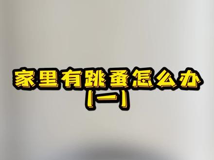 家里有跳蚤怎么办? 一只被跳蚤咬很痒怎么办? 快学起来吧 #虫虫战队 #跳蚤药 #跳蚤