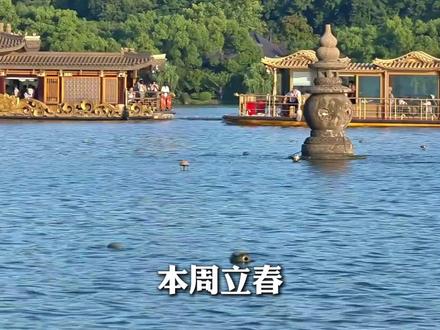 本周立春,浙江“春日体验卡”来了!杭州气温冲20℃,浙中南飙到20℃+#美丽主播说新闻