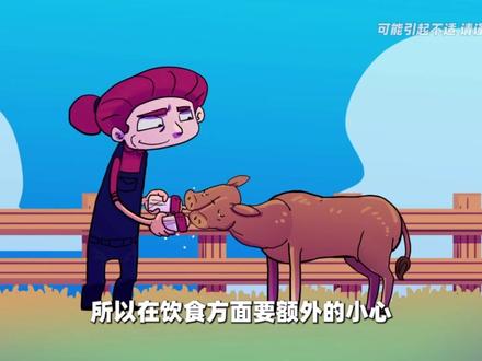 四种诡异的双头生物 #双头动物 #动物成精 #双面 #畸形 #双头猪 #双头牛 #罕见 #两个头