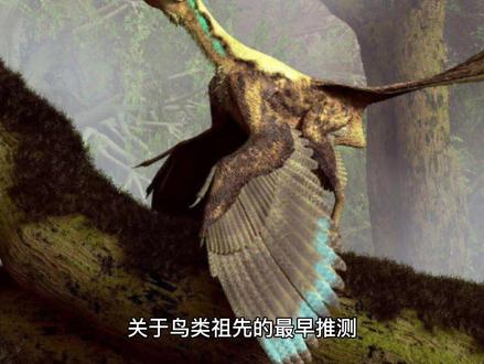 十万个为什么?“鸟类是恐龙的后裔吗” #生命科学 #古生物 #科普一下 #看世界 #博物馆