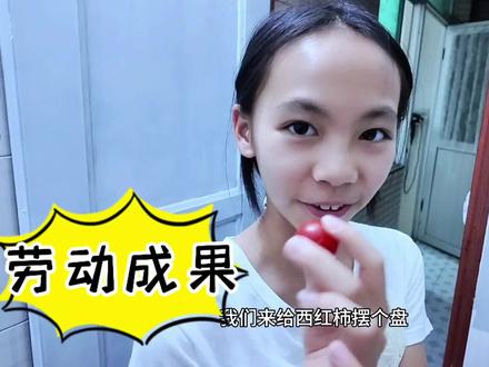 从一颗种子到生根发芽,再到开花结果,杨一一给它来了个小小的仪式感#记录真实生活 #日常vlog #小番茄 #意面 #vlog十亿流量扶持计划
