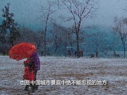 重大提醒:西湖今年可能会下大雪!#雪 #冬天该有的样子 #雪一落这里就美成了诗