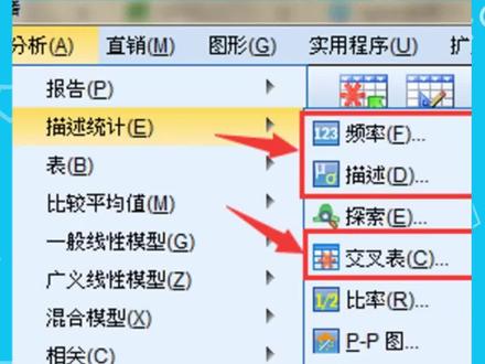 使用spss进行描述性统计分析--频率分析