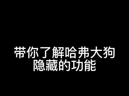 #哈弗大狗 隐藏的功能你了解多少
