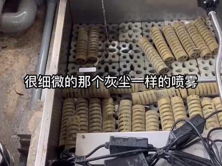 一年一次的杀菌灯更换,教大家如何清洗设备里的生化仓#养鱼可以很简单 #锦鲤鱼池过滤系统 @鱼池小桃桃【听力残疾】