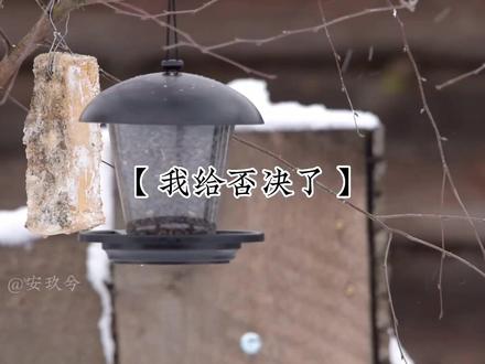 小狼狗一句“明显见老”,从正文哄到番外#针锋对决