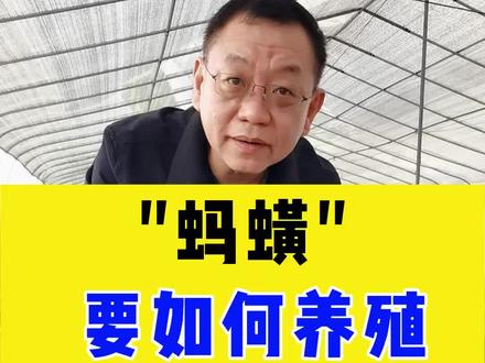 蚂蟥是如何养殖的
怎样才能让蚂蟥含有更高的水蛭素#蚂蟥 #知识分享 #水蛭 #养殖 #高密度养殖 #农业