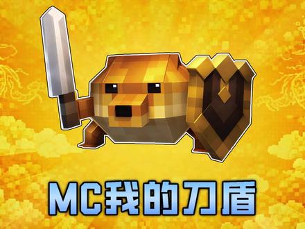 当我在我的世界中添加了我的刀盾和比比拉布! #我的世界 #MC