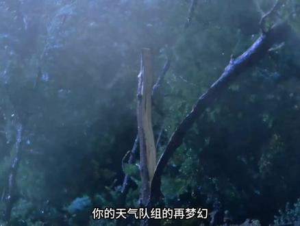雷奥尼克斯必看!怪兽天气队实战技巧之雨天队 #宝可梦 #雷奥尼克斯 #怪兽 #怪可梦 #阿加莎少年怪兽簿