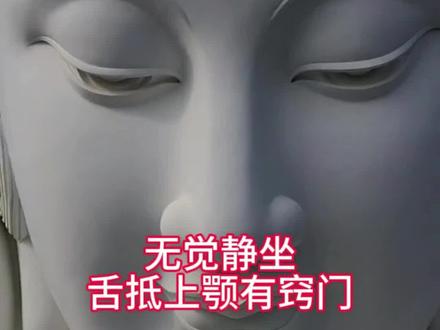 静坐修行中怎样舌抵上颚#打坐教学 #修心禅语 #无觉静坐