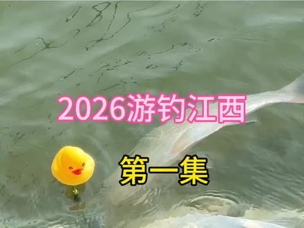 2026游钓江西正式开始了!晚上夜钓继续! #康哥荒野垂钓 #猛攻突击鲢 #分享我的钓鱼经验 #钓鱼人的天堂 #我的钓鱼小知识分享