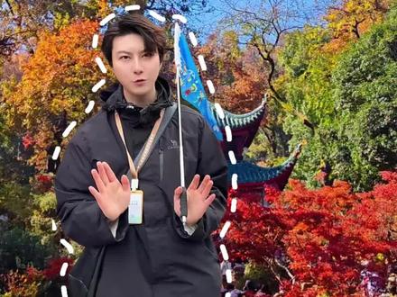 长沙岳麓区推荐黄金路线#旅游攻略 #长沙 #长沙旅游 #岳麓山 #湖南旅游