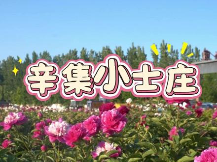 人间五月芍药香,清风漫染田园风光✨ 在辛集闲赏花海,顺路逛花棚、观菜园地块
愿大家温柔赏花,不负初夏好景致
#辛集 #周末去哪玩 #五一 #共享菜园 #花卉绿植