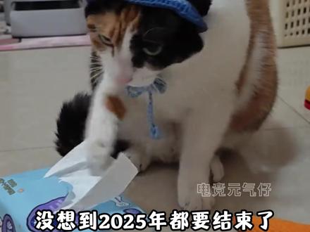 “萝卜纸巾”已经抽象到不知天地为何物 #超级无敌大开门 #萝卜纸巾 #萌宠 #搞笑