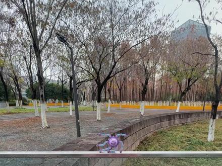 变脸手指小陀螺,玩法可真多~ #玩具 #儿童玩具 #陀螺玩具 #玩具推荐