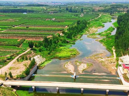 #创作灵感 今天发的视频是莱阳市照旺庄镇田家灌村:据《莱阳市地名志》记载,元初,田姓建村于富水河畔,取村名田家灌。
相传田姓从“云南”迁来,现仍以田姓为主,另有少许宋、崔等姓。
历史沿革
民国时期:在上世纪三十年代,田家灌与附近的河马崖、东诸麓、西诸麓、后诸麓、石龙沟、铎山前等村庄曾一起设立了个“河曲乡”。
革命时期:1928年1月,李伯颜来到莱阳万第镇水口村,3月上旬,在田家灌建起了党小组。4月,李伯颜又来到田家灌等村,组织党员发展农协会员300余人。
建国后:原属前淳于乡,后前淳于乡合并到照旺庄镇,田家灌村便属莱阳市照旺庄镇管辖。
航拍下的村庄,富水河流经村庄转了一个大弯,隔河紧邻万弟镇王宋村,村庄依山傍水,周边都是绿油油的果蔬,村庄红瓦绿树,街道干净利落,房屋依地势而建错落有致,像是一颗镶嵌在富水河畔的明珠,熠熠生辉。#原创视频 #村名由来 #富水河#旅行推荐官