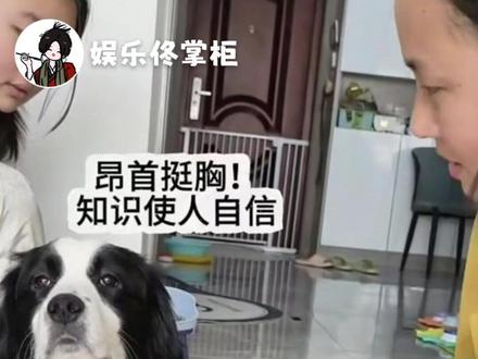 不愧叫耀祖,孩子就是聪明。#狗 #狗狗的心思都写在脸上了