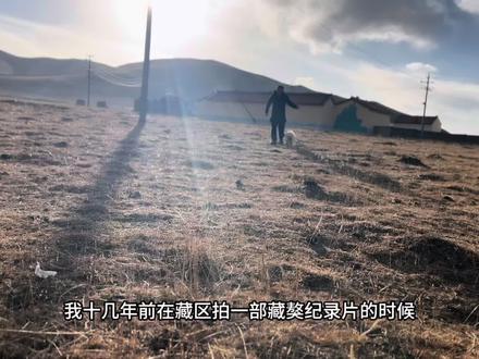 在青藏高原藏族人除了认为西藏梗能带来好运之外…… 一直到半个世纪前,长久以来因为西藏地理位置孤立的原因,西藏梗在两千多年里始终保持着纯正血统,DNA技术分析也证实它是具有2000多年历史的最古老犬种。#西藏梗#拉萨犬#阿普索#狗狗
