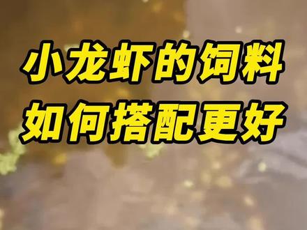 小龙虾养殖饲料如何搭配效果更好呢?#小龙虾养殖 #饲料投喂 @龙昌水产服务部