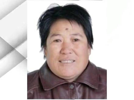 公安部发布A级通缉令,通缉拐卖儿童犯罪嫌疑人陈艳
