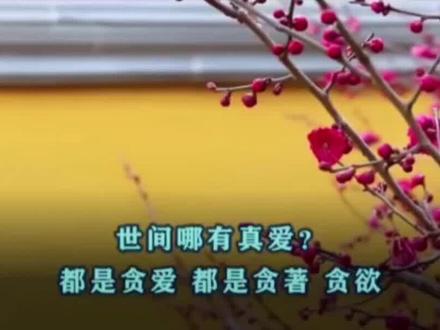 解脱道关于爱与慈悲的定义。#修心修行 #慈悲 #国学文化
