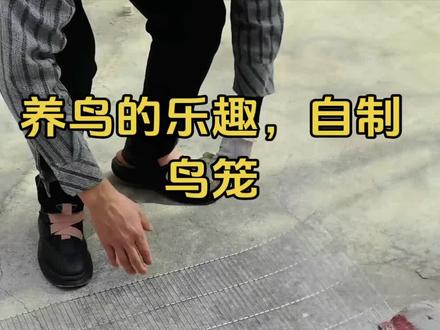 自制鸟笼,把对鸟儿的爱藏进每一个细节。从选材到成型,让它的栖息处满是温暖。#八哥鸟 #养鸟经验分享 #手工制作