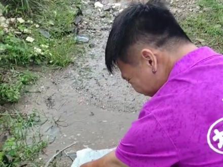 #暴雨翻塘
这鱼都往路上爬了,这种是什么现象?