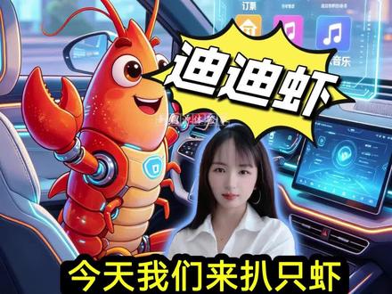 0529-1(2) 今天我们来扒虾:迪迪虾#敢为时代造国民智驾