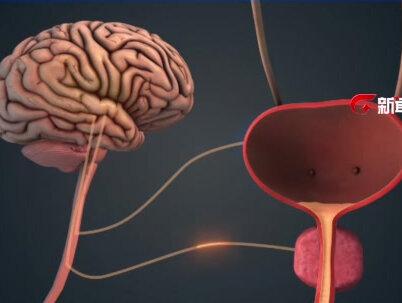 为什么憋尿的时候 听到水流声就很难憋的住#技术男睇世界