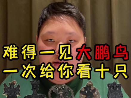 难得一见大鹏鸟 一次给你看十只#藏传文玩 #古玩 #文玩