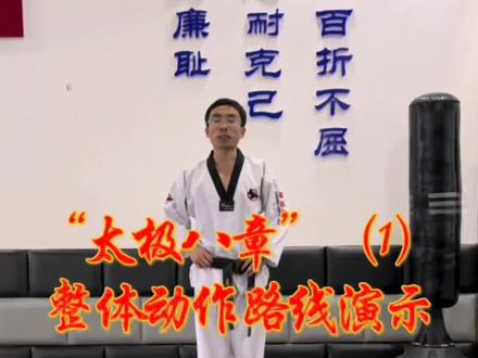 太极八章!#创作灵感 #精雄武道 #跆拳道 @Hi荆州 @飞鱼雄鹰【精雄武道】