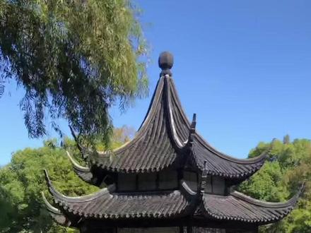 周末西园寺一日游,苏州人常去的寺庙,这里求姻缘很灵,素面更是一绝,随处可见的猫咪很可爱,还可以喂鸽子,免费抄经,解压放松的好地方#苏州西园寺 #西园寺 #苏州景点推荐 #遇见金秋 #总要来趟苏州吧