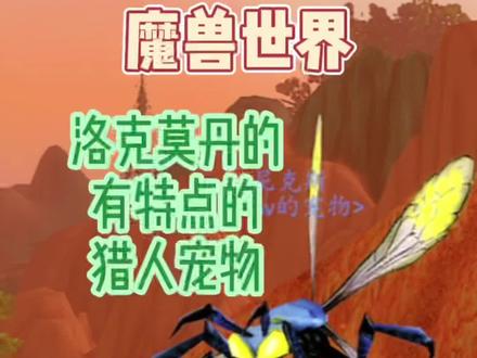 魔兽世界正式服:全面汇总洛克莫丹的有特色的猎人宠物-1.尼克斯-持续更新中#游戏精彩时刻 #魔兽世界 #一起玩游戏 #游戏日常 #怀旧游戏 #wow #实用 #经典游戏 #魔兽青春 #暴雪 #游戏 #猎人 #游戏 #宠物 #收集 #模型 #技能 #坐标 #魔兽世界不再错过 #魔兽 #游戏视频 #攻略 #心得 #魔兽世界正式服 #游戏日常分享 #特效 #欢乐 #游戏梦想家计划 #精彩游戏 #游戏梦想家第二季 #这个游戏很好玩 #尼克斯 #黄蜂 #狂野宠物 #三系可抓 #洛克莫丹
